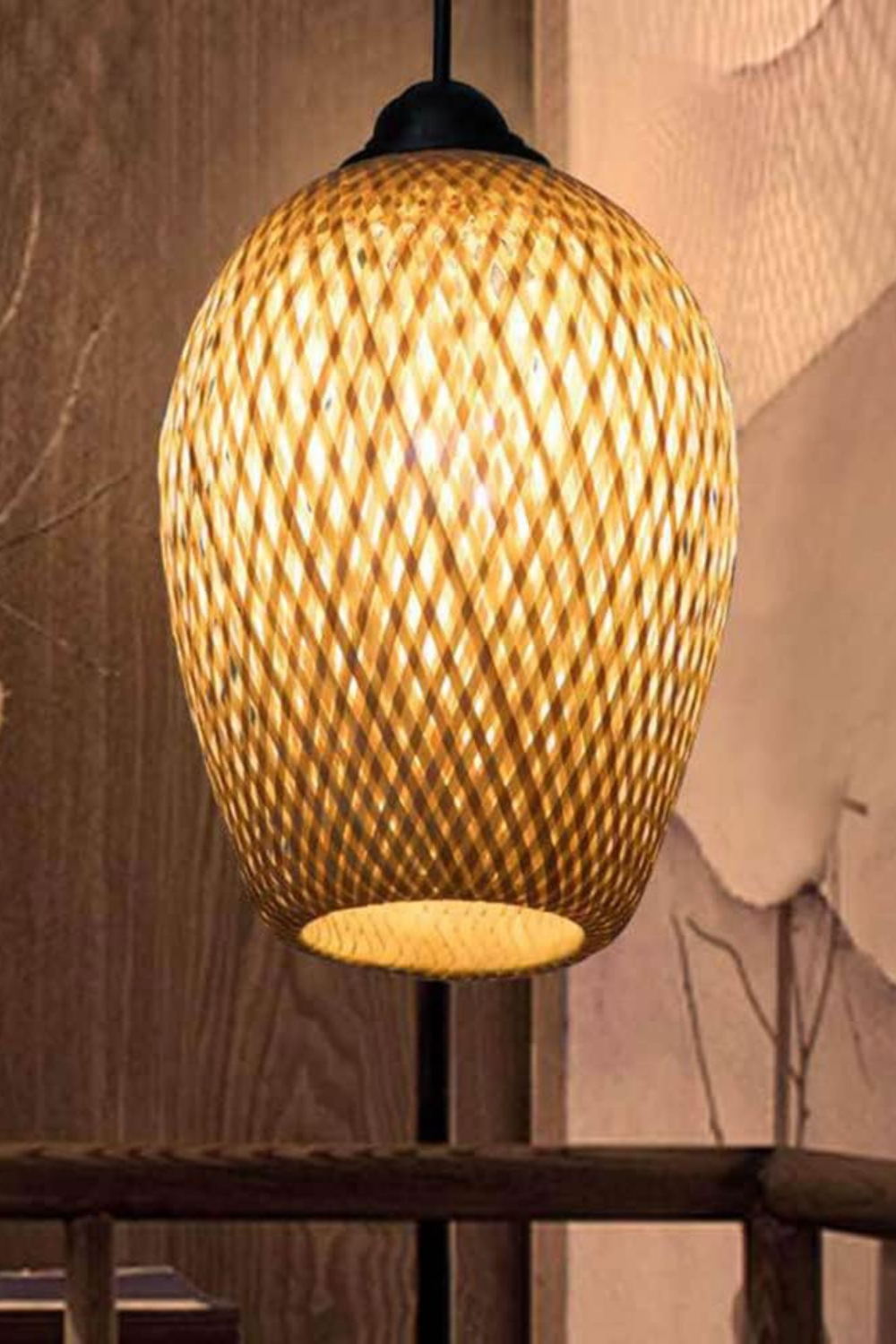 Hanging Lampshade