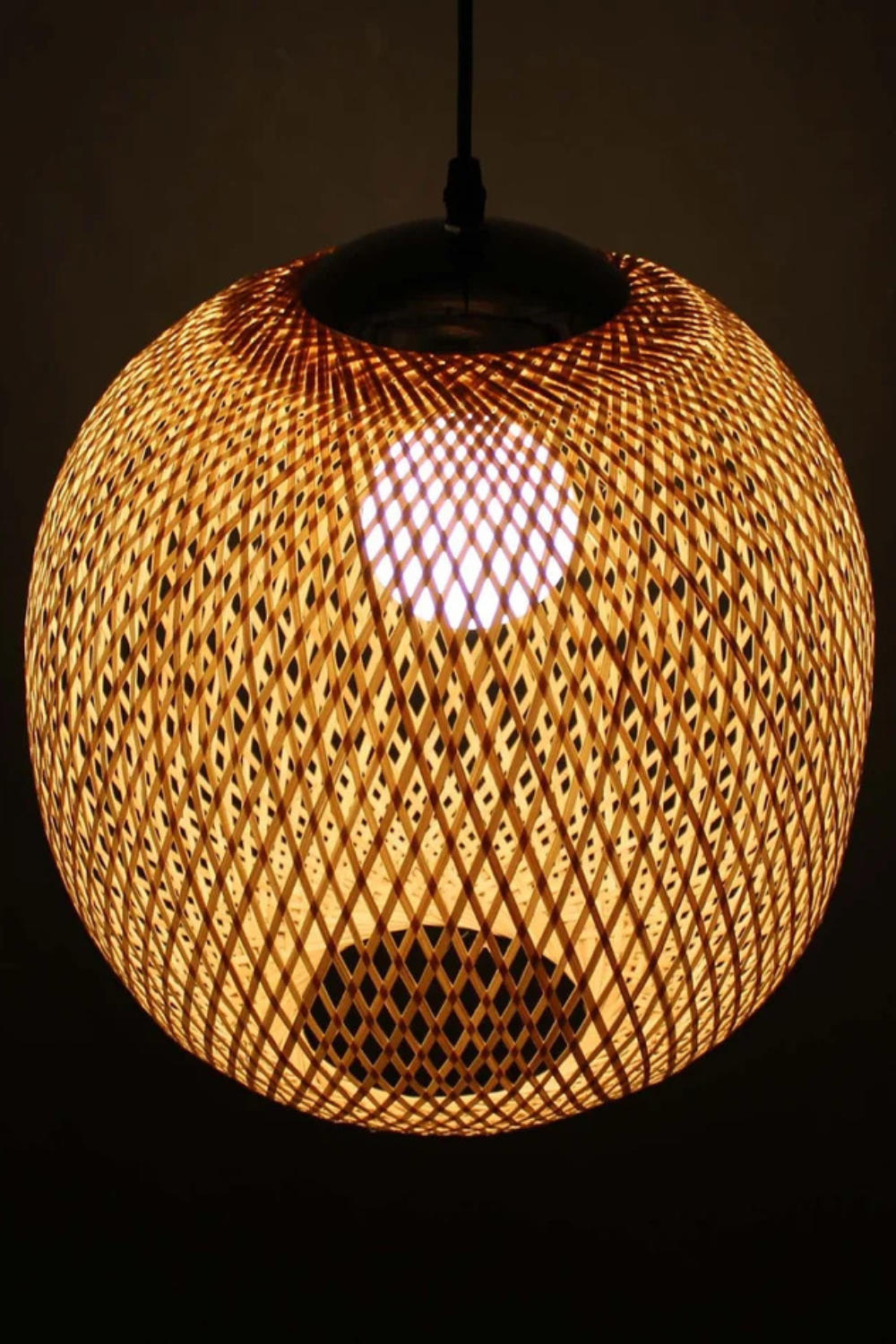 Globe Pendant Lampshade