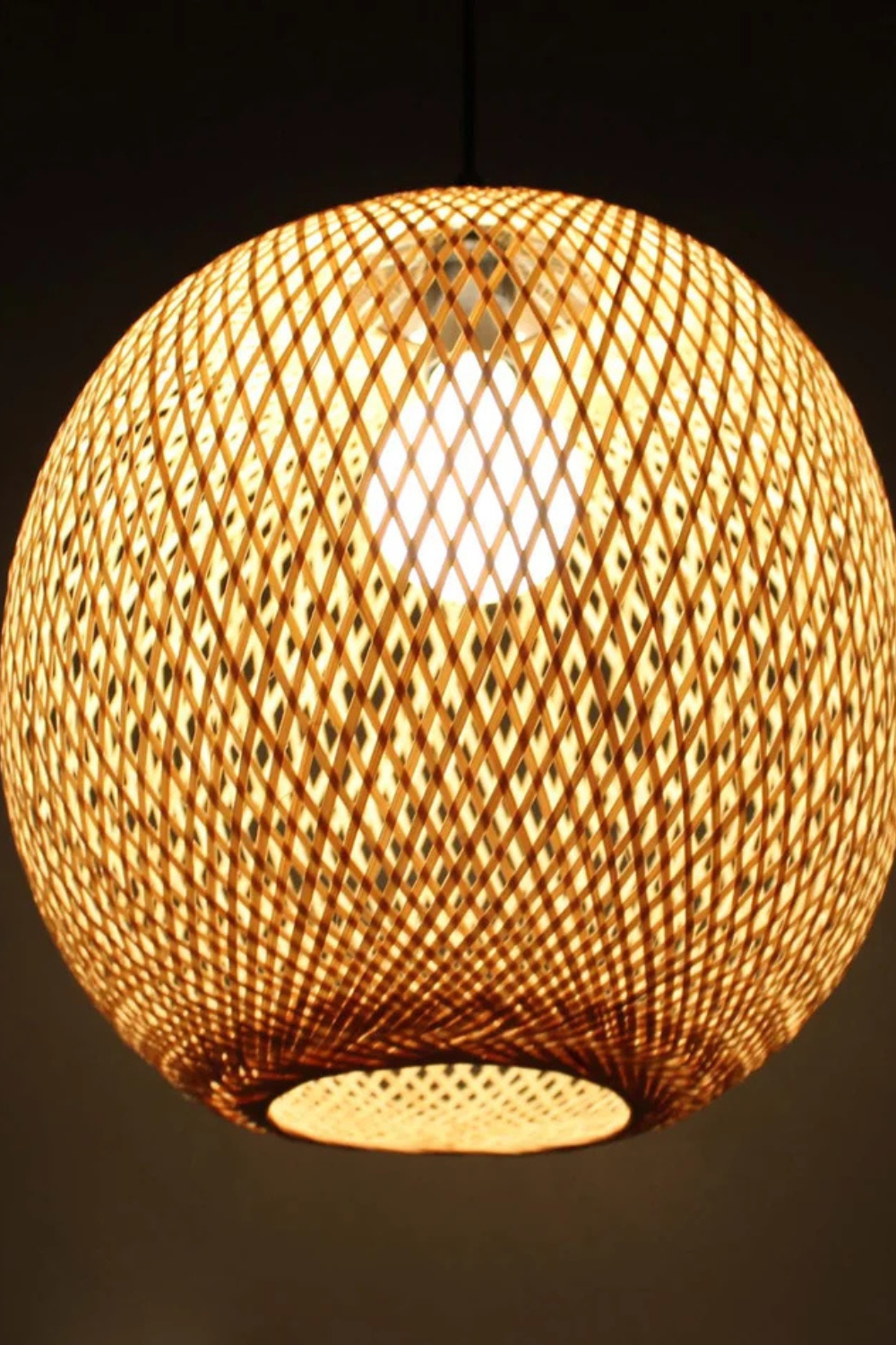 Globe Pendant Lampshade