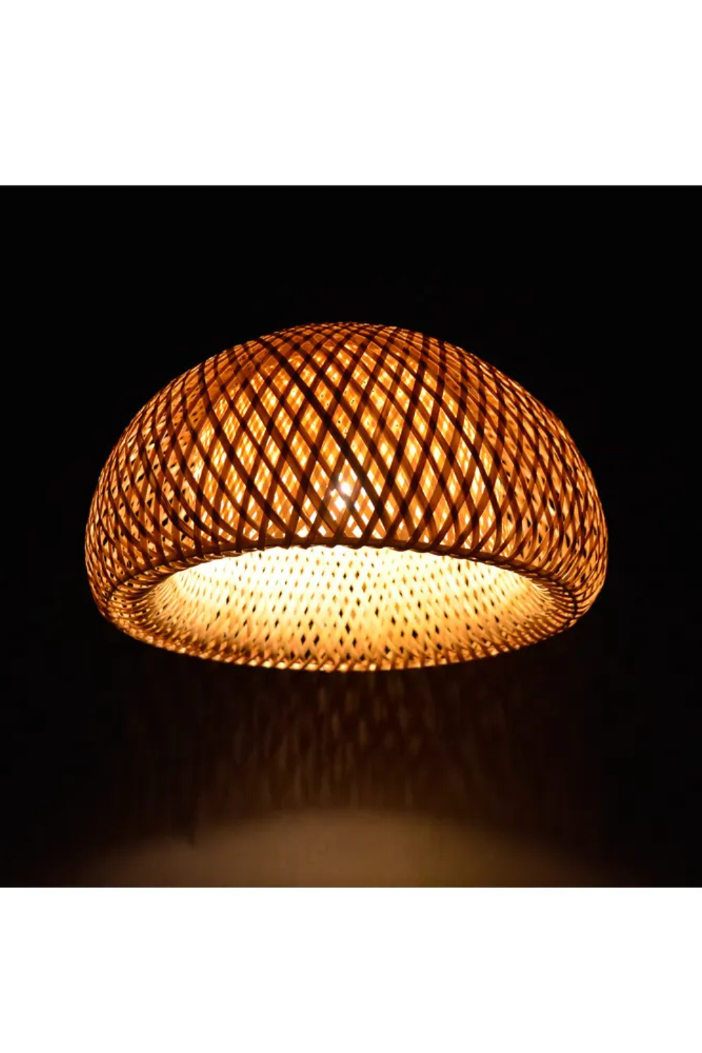 Hanging Lampshade