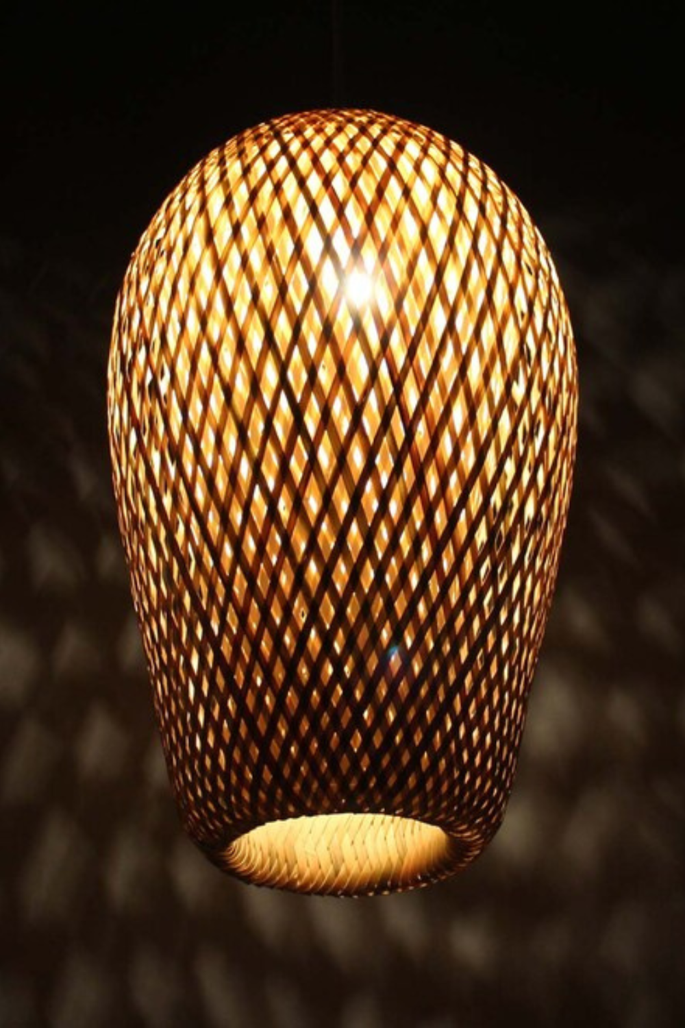 Hanging Lampshade