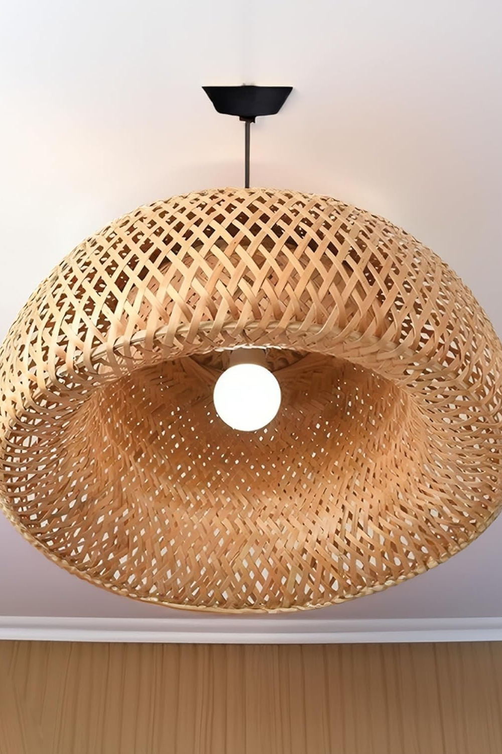 Hanging Lampshade