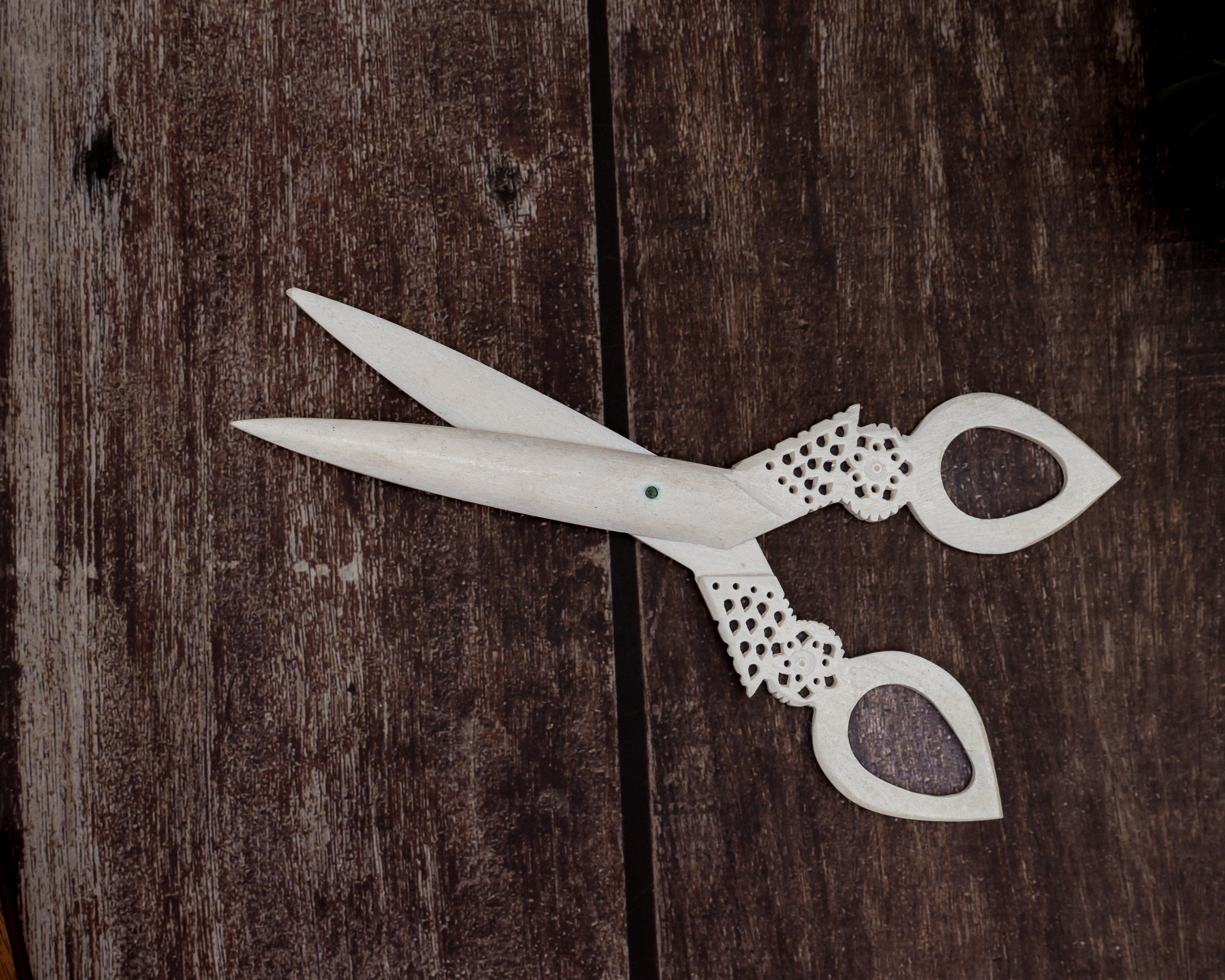 Bone Carving Scissor