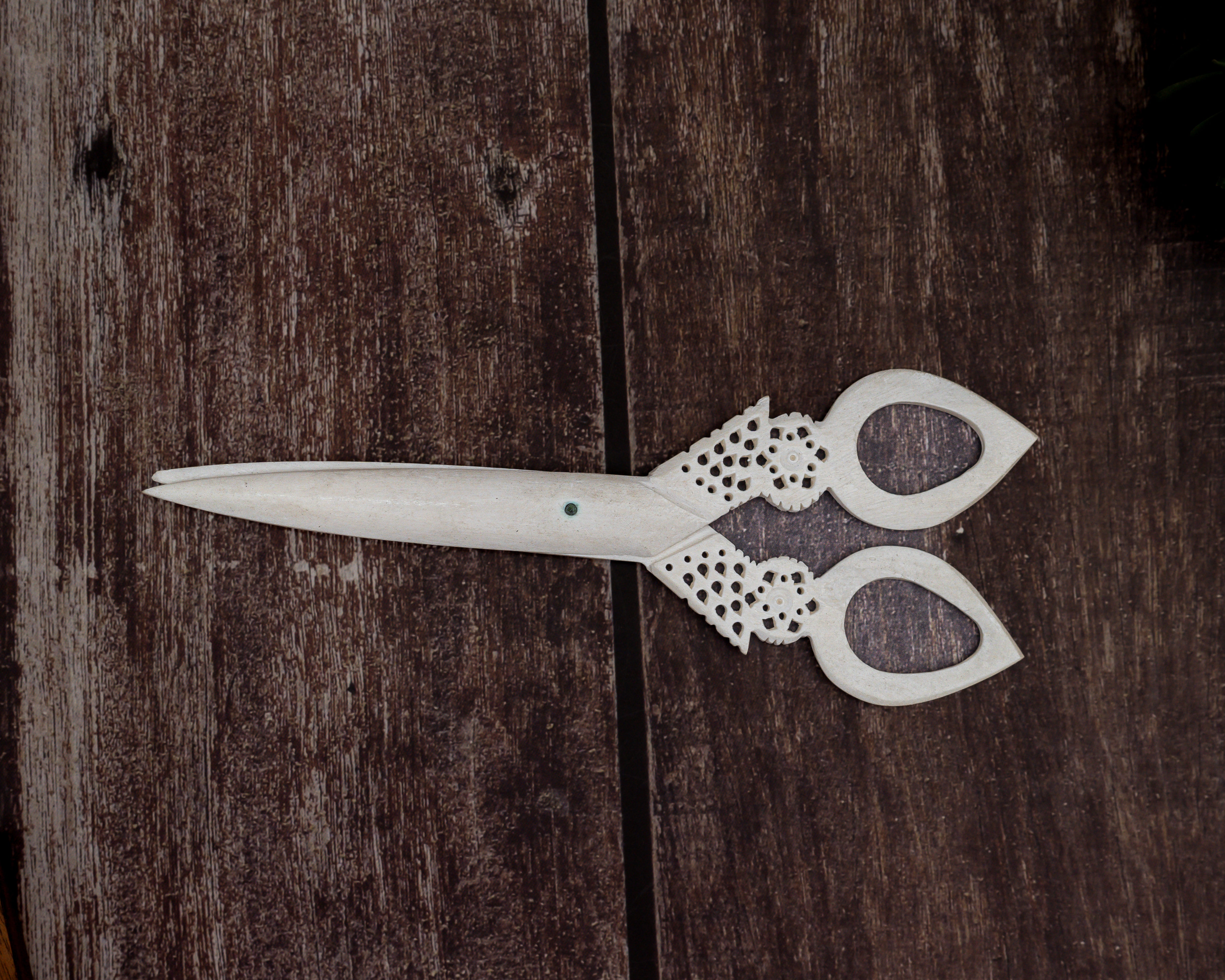 Bone Carving Scissor