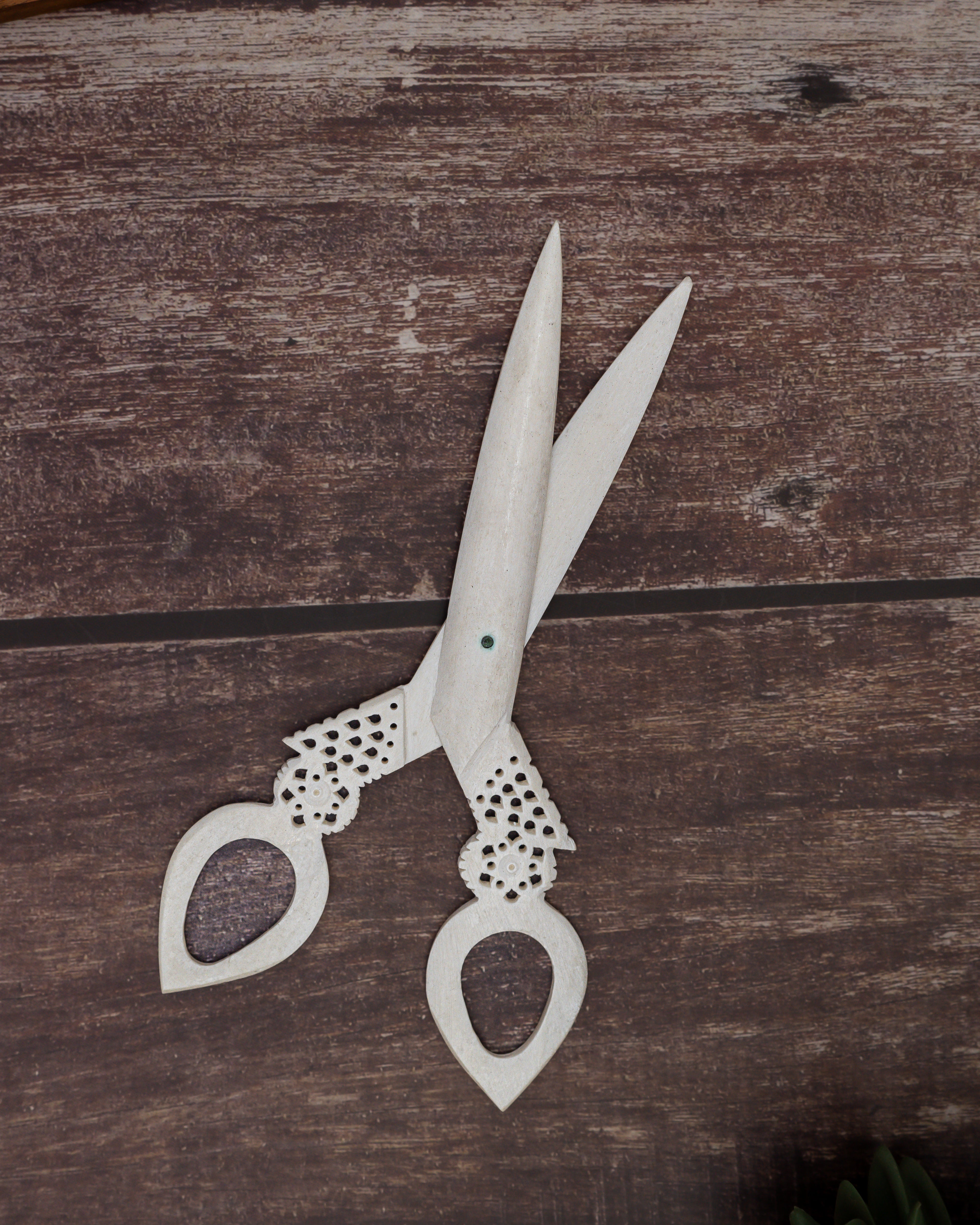 Bone Carving Scissor