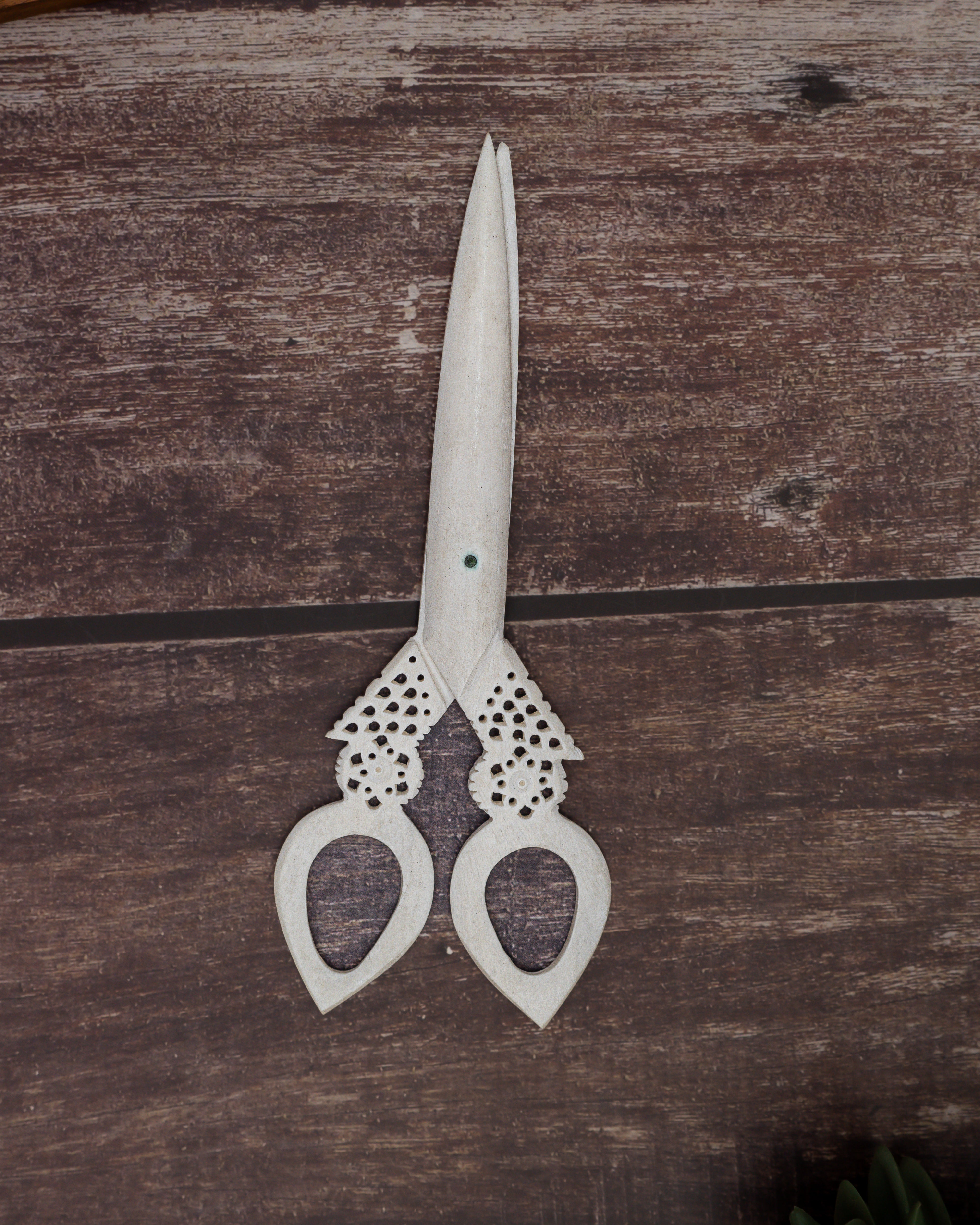 Bone Carving Scissor