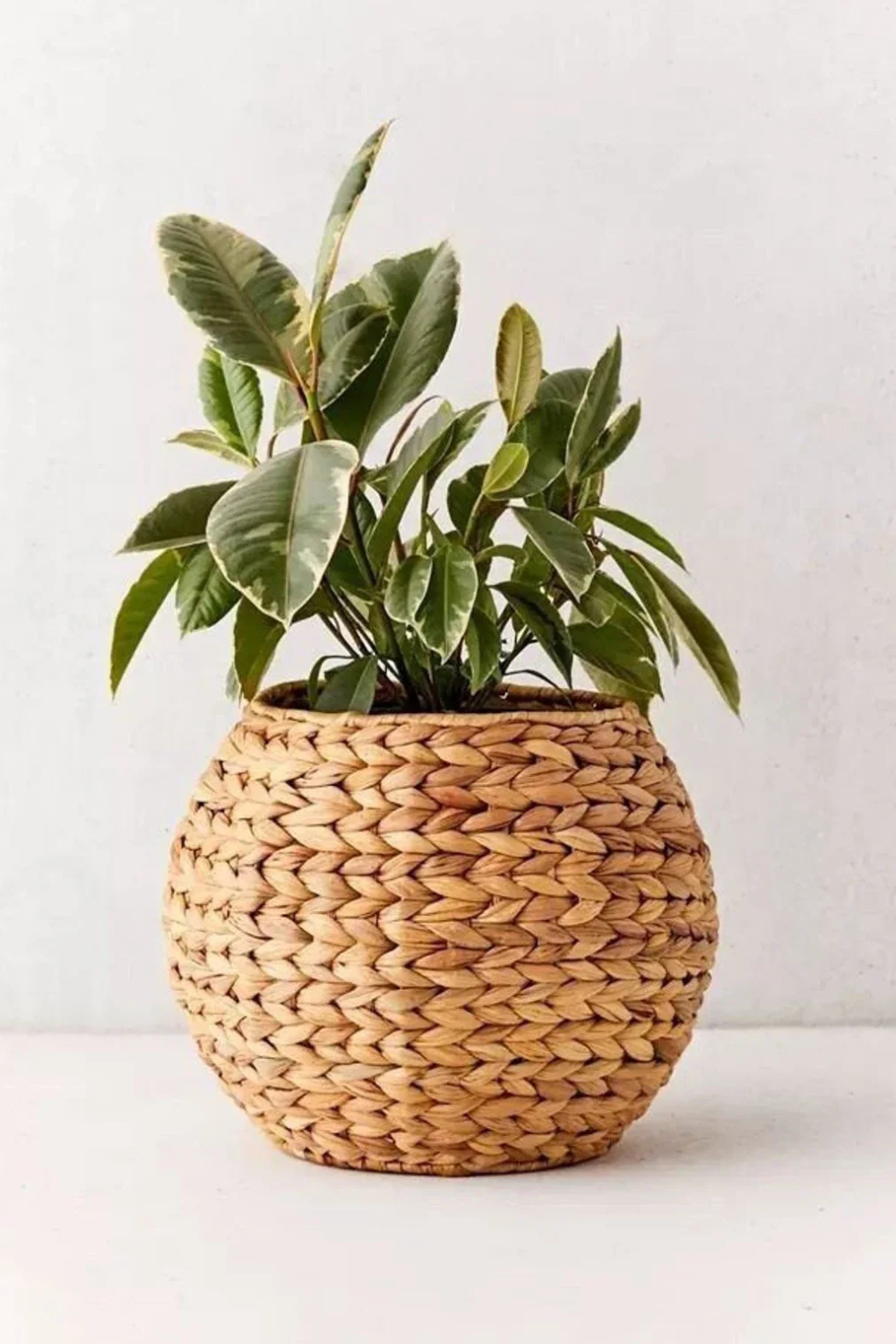 Heritage Cane Woven Planter