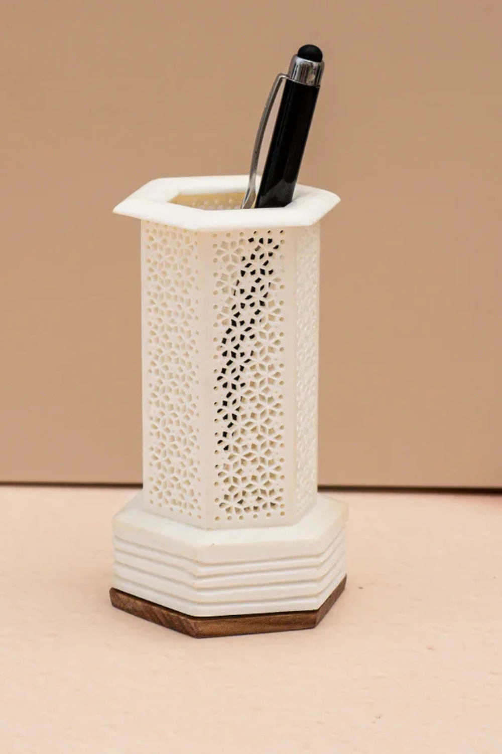 Illuminated Bone Pen Stand and Lamp