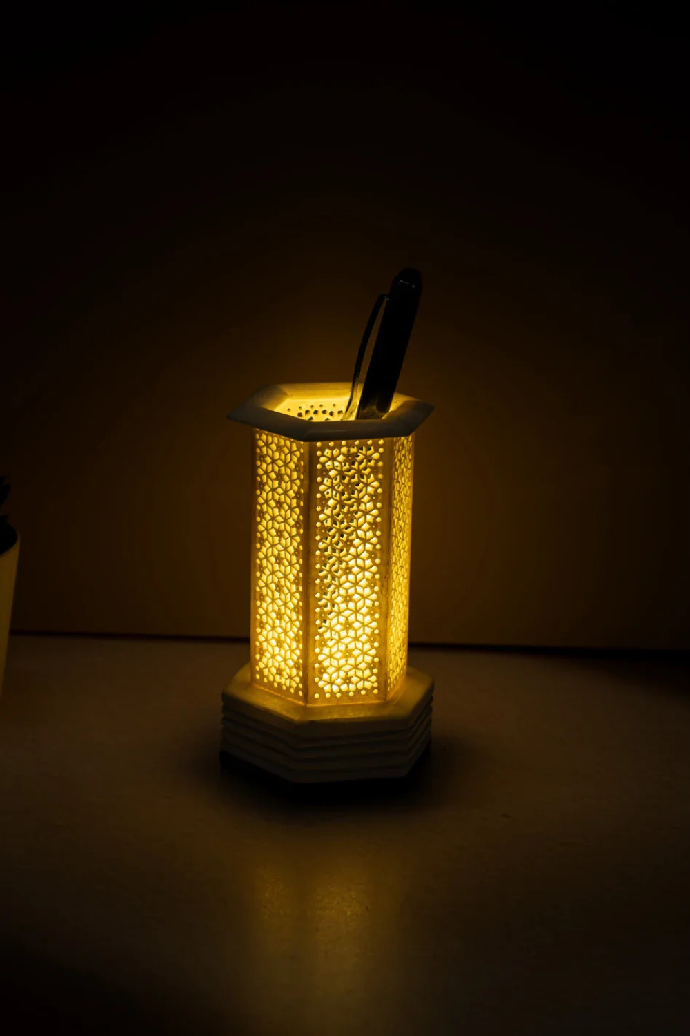 Illuminated Bone Pen Stand and Lamp