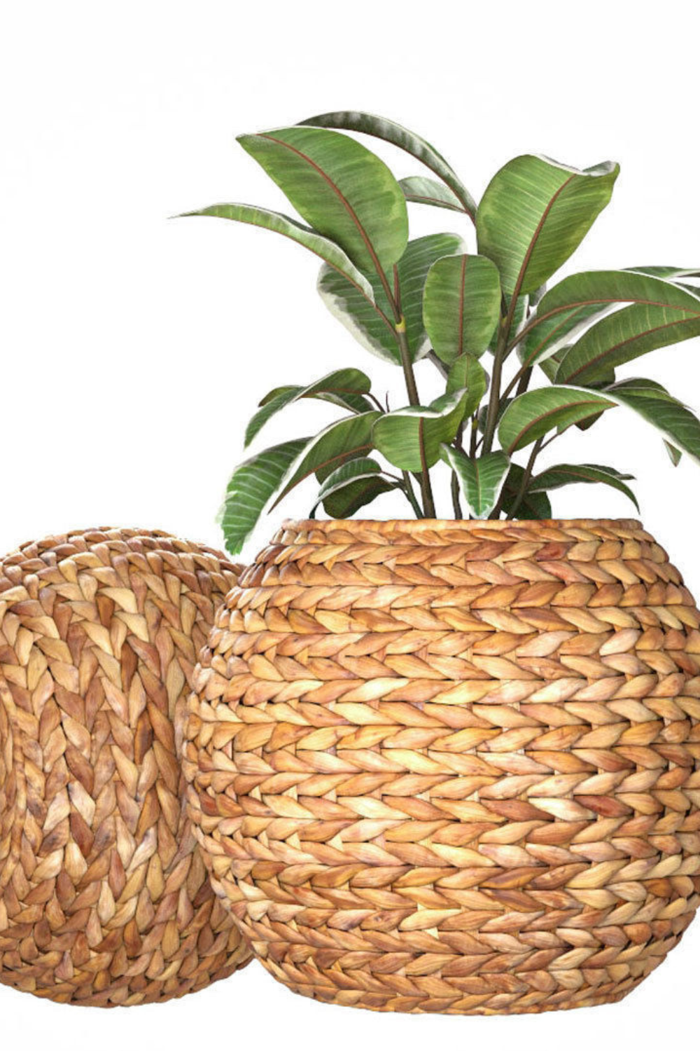 Heritage Cane Woven Planter