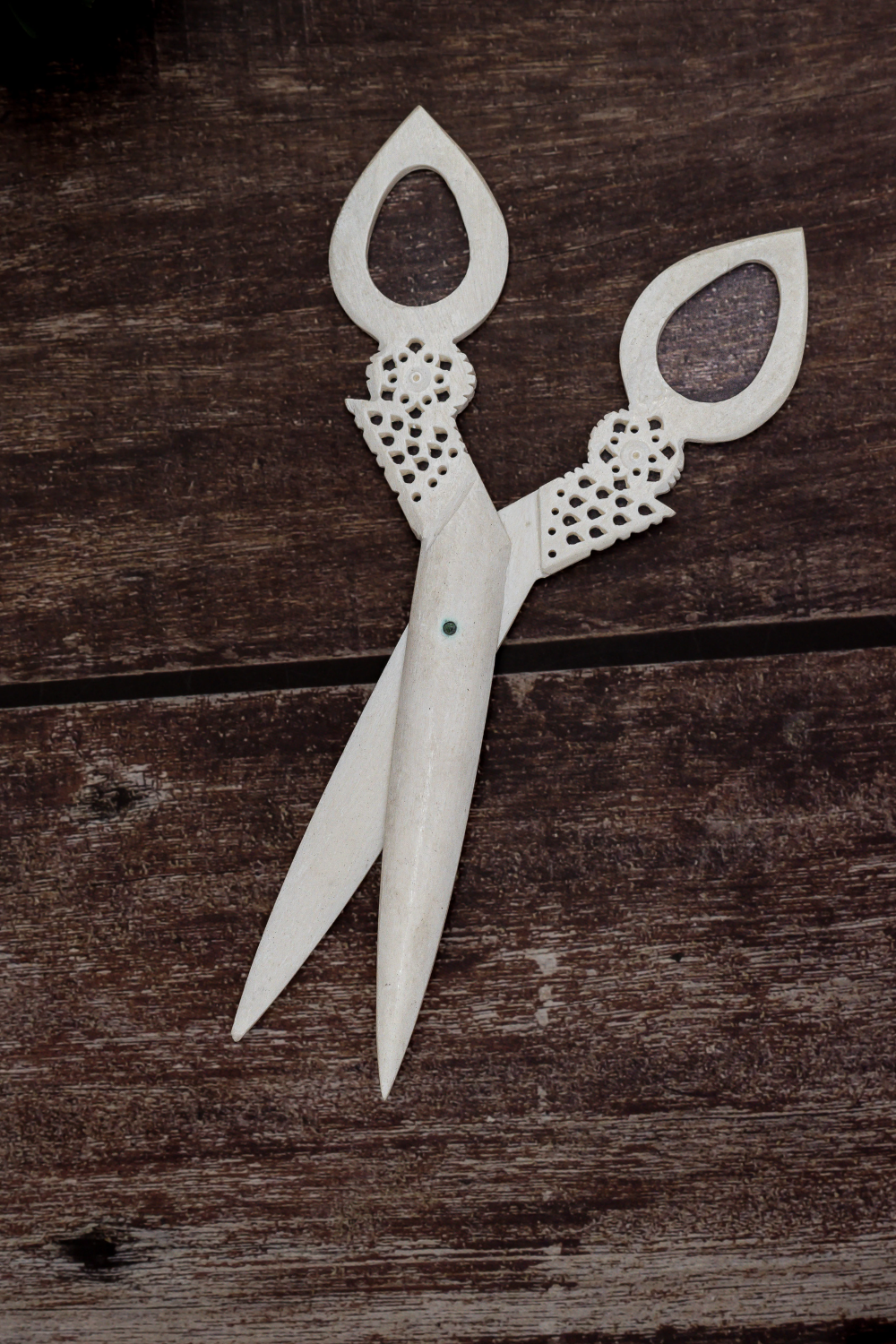 Bone Carving Scissor